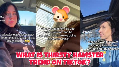 hanster and sunroof|sunroof hamster challenge.